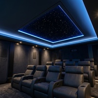 Kit d'éclairage à fibre optique télécommandé Night Club RGB Star Ceiling Starry Sky
