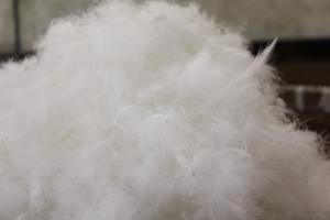 Duvet d'oie blanc lavable en duvet d'oie blanc, vente en gros, Standard, vente en gros - Product Image 5