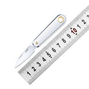 Gran oferta <span class=keywords><strong>Sanrenmu</strong></span> 325S-SB Mini cuchillo de fruta de acero inoxidable, cuchillo exprés plegable para el hogar, llavero pequeño portátil, cuchillo de bolsillo - Product Image 1