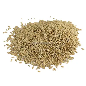 Natural Growth Bird Food Canary-Seed Birds Feed Seeds Canary Seed Price