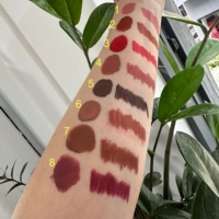 Kit de Maquillage Lèvres Mat Liquide 8 Couleurs à Faible MOQ, Haute Pigmentation, Imperméable, Végétalien, avec Crayon à Lèvres et Gloss, Marque Privée