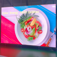 Écran LED de scène géant étanche extérieur 500x1000mm & 500x500mm P2.9 P3.9 P4.8 Location d'écran mural vidéo pour la publicité