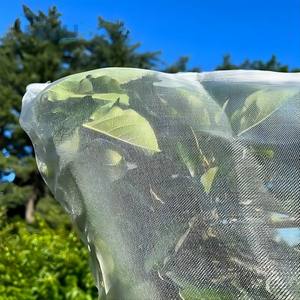 Vivaio anti insetti rete agricola protezione agricola rete anti-insetti - Product Image 5