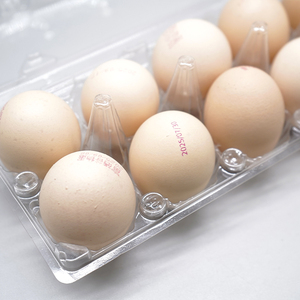 Boîte d'emballage en blister en PET transparent à 10 trous, écologique, jetable, de qualité alimentaire, de forme rectangulaire, pour le stockage des aliments - Product Image 4