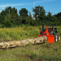 Winche Forestal OEM W55M para Tractor, Winche de Arrastre de Troncos con Enganche de 3 Puntos, Cadenas de Seguridad, Fuerza de Tracción de 55KN para Distribuidores en EE. UU.