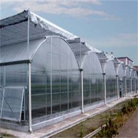 Serre d'extérieur Yanpeng GT BMLD en métal, grande, multi-travées, commerciale, en plastique, pour l'agriculture, facilement assemblable, vente en gros