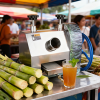 Mini RVS Suikerrietpers Handmatige Suikerrietmachine 100% Suikerriet Sap voor Thuisgebruik