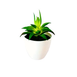 Planta Suculenta Artificial Qi Xing en Maceta de 13 cm, PVC Suave, Decoración para el Hogar - Product Image 5