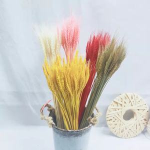 2025 la fleur de blé séchée en gros d'usine pour la décoration de maison/mariage pour <span class=keywords><strong>Bouquet</strong></span> de fleurs - Product Image 6