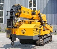 Mini-grue araignée portative sur chenilles de 3 tonnes