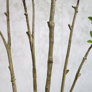 Nouvel arbre artificiel Toona de 180 cm avec des feuilles réalistes, arbre artificiel pour l'intérieur et l'extérieur, pour la maison, le bureau, le salon, la chambre, la véranda - Product Image 4