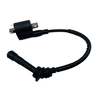 คอยล์จุดระเบิดรถจักรยานยนต์ชิ้นส่วนรถจักรยานยนต์ชุดแรงดันสูงสำหรับ <span class=keywords><strong>TRK251</strong></span> BJ250ของ <span class=keywords><strong>Benelli</strong></span> - Product Image 3