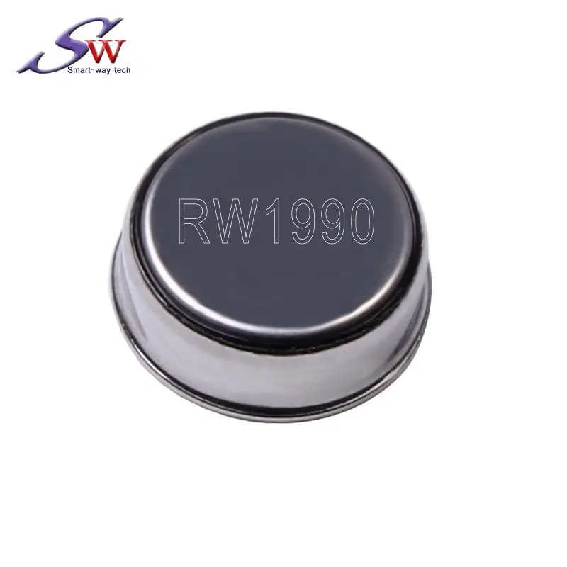 64 Bits Electronic Key Rewritable iButton RW1990 for Copying DS1990 TM1990 ID