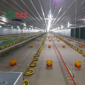 Equipo automático para cría de pollos, alimentación y bebedero para aves de corral, cría de pollos