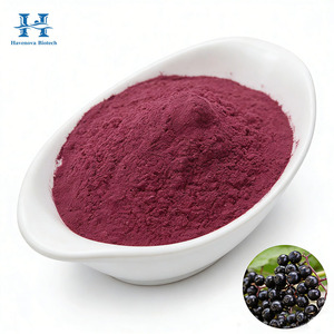 ราคาดีที่สุด ประกอบด้วยโพลีฟีนอลธรรมชาติและแอนโทไซยานิน 25% สารสกัดจากเอลเดอร์เบอร์รี่  วัตถุดิบเป็นผง มีความเสถียรและเชื่อถือได้ - Product Image 2