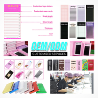 Extensions de cils individuels en plateau, noir mat, volume intense, en soie, VAVALASH, fournitures d'extensions de cils en cachemire, vente en gros