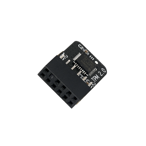 BL-TPM-M-SPI Gecodeerde Beveiliging Tpm2.0 12pin 12-1Pin Msi Spi Tpm 2.0 Module Vertrouwde Platform Module Tpm 2.0 Voor Msi Moederbord - Product Image 2