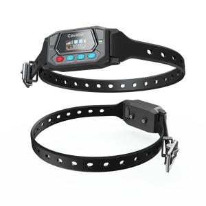 Portée 9999Yd IPX7 Smart GPS Clôture sans fil pour chien Clôture électrique GPS Système de position précis Extérieur pour chien de taille moyenne - Product Image 6