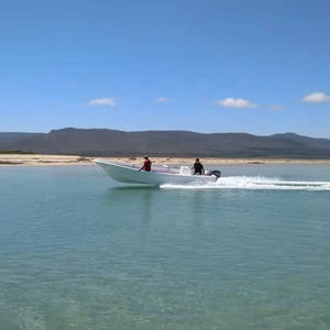 Bote de Trabajo y Pesca Panga de Fibra de Vidrio Modelo Grandsea de 26 pies 8 m en Venta - Product Image 4