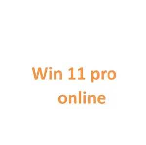Win 11 Professionele Online Key Win 11 Pro Key Stuur Op Ali Chat