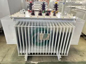 10KV 공장 가격 핫 셀링 오일 충전 3 상 분배 변압기 100kva 변압기