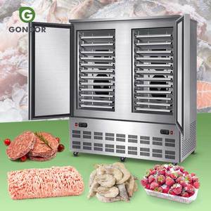 Congelador Rápido de Nitrógeno Líquido Coconut Quick Plus para Papas Fritas con Base con Ruedas - Product Image 1