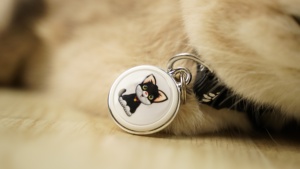 Localizador <span class=keywords><strong>GPS</strong></span> equipado con nuevo <span class=keywords><strong>chip</strong></span> de posicionamiento AES, monitoreo de ubicación, antipérdida de gatos y <span class=keywords><strong>perros</strong></span> - Product Image 4