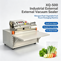 XQ-500 Industriële Externe Vacuümsealmachine met Stikstofspoeling voor het verpakken van groenten en fruit in zakjes voor kleine boerderijen en export