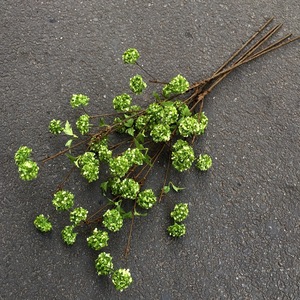 Huaxian Art Expo <b>Artificial</b> <b>Hydrangea</b> Branches Snowball Green Silk Flowers Home Decor 8-Head Vines Forest Style - Product Image 2