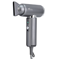 Sèche-cheveux professionnel OEM/ODM mini bi-tension à plasma pour soin du cuir chevelu, moteur BLDC 110 000 tr/min, ionique, double tension, diffuseur électrique 3 vitesses pour hôtel
