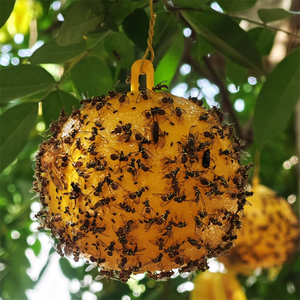 Trampa Adhesiva Reutilizable Amarilla para Insectos, Atrapa Moscas de la Fruta para Jardín, Control de Plagas en Exteriores, Impermeable - Product Image 5