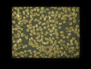 אבקת חומרי שחיקה יהלום סינתטי לחיתוך וליטוש, גריט מרוסק לליטוש של קרביד, קרמיקה ואבן - Product Image 2