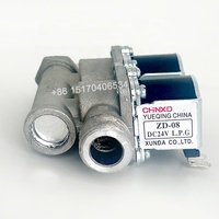 Pont gaz four de cuisson en laiton inoxydable 1 pouce Air eau électrovanne 12V Dc Injection Machine solénoïde vanne d'air