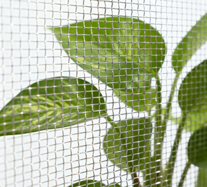 Malla Mosquitera Galvanizada de Alta Calidad en Rollo <span class=keywords><strong>para</strong></span> Ventanas, Anti-Insectos - Product Image 3