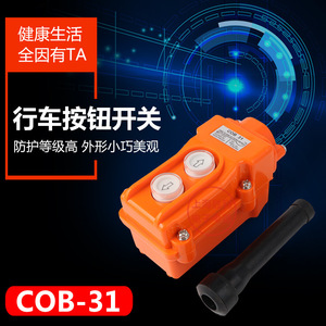 Cob 31 Traction Control Switch 220V Ac Ip53 <b>Waterproof</b> <b>Electric</b> Hoist Lifting Control <b>Box</b> With Up Down Buttons - Product Image 3