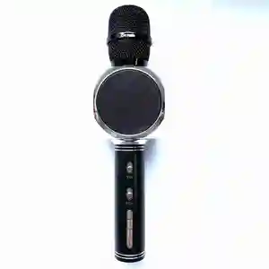 Karaoke Mini BT Microphone Speaker