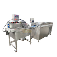 Machine automatique d'enrobe de chocolat de tunnel de refroidissement de petit revêtement de bonbons de gelée de convoyeur de gâteau d'humeur