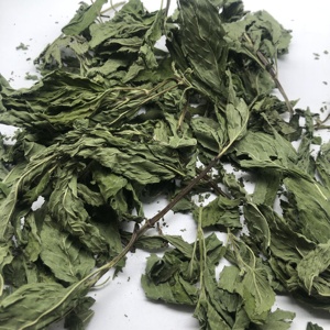 5012 Bo <span class=keywords><strong>He</strong></span> Ye Vente en gros Produits sains <span class=keywords><strong>Menthe</strong></span> <span class=keywords><strong>poivrée</strong></span> pour le thé Feuilles de <span class=keywords><strong>menthe</strong></span> séchées - Product Image 1