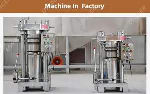 LFM उच्च उत्पादन हाइड्रोलिक कोको बीन्स तेल प्रेस मशीन कोको मक्खन और केक दबाने मशीन