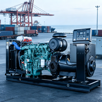 Groupe électrogène diesel insonorisé 200KW 255KVA, puissance de pointe, 400V 50Hz triphasé, réservoir de carburant longue durée pour hôpitaux en Suisse