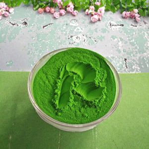 Polvo de extracto de algas de alta pureza, fertilizante orgánico de ácido algínico, Soluble en agua, promueve el enraizamiento de las plantas - Product Image 1