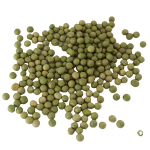 Chinese Non GMO Dry Soya Bean Soja Green Soybean
