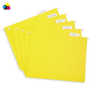 Shanghai Station ery Market Hängende Aktenordner Farbige Aufhängung feilen mit Kunststoff laschen und leeren Einsätzen aus Papier - Product Image 4