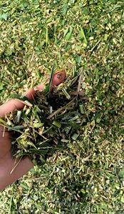 Broyage d'herbe Machine de découpe de tige de maïs Coupe-paillettes d'alimentation pour poulet - Product Image 3