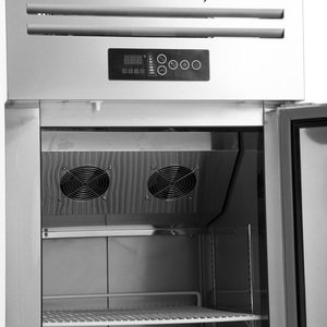 Réfrigérateur Commercial Vertical Fiable de Qualité Supérieure, à Porte Simple (Supérieure et Inférieure), Refroidi par Air, Congélateur Frigo - Product Image 5
