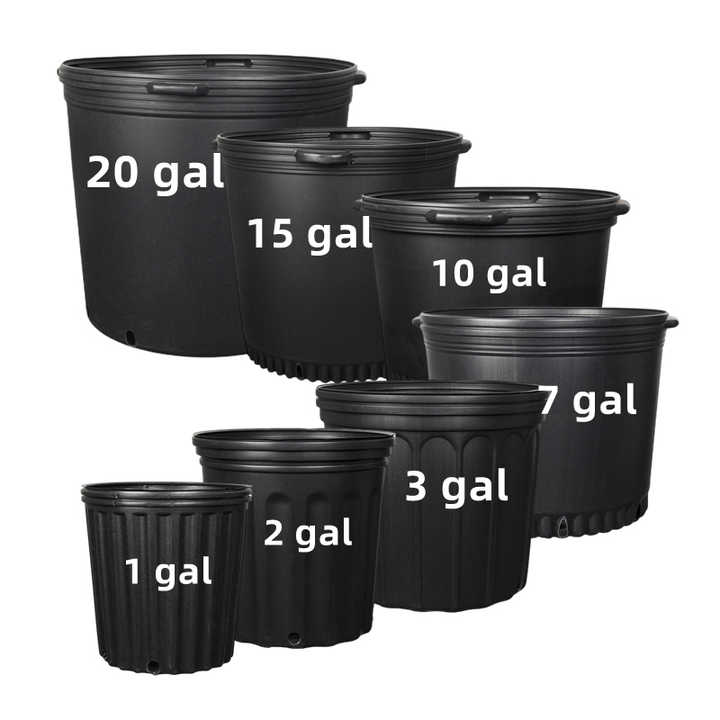 Wholesale Nursery Pots Suppliers 1 Gallon 15 Gallon Nursery Pots 25
