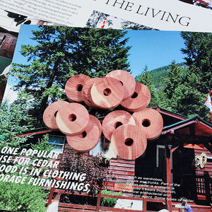 Anneaux <span class=keywords><strong>de</strong></span> cèdre à porter sur cintres, ensemble <span class=keywords><strong>de</strong></span> boules <span class=keywords><strong>de</strong></span> cèdre, guirlande <span class=keywords><strong>de</strong></span> bûches d'arbre, blocs <span class=keywords><strong>de</strong></span> cèdre 100% naturel <span class=keywords><strong>pour</strong></span> le rangement des vêtements, vente en gros d'usine - Product Image 6
