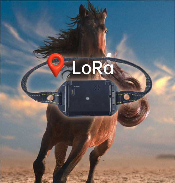 Pastures Farms Plastic Animal Tracking Collars GPS Navigation LBS LoRa Long-distance Transmission Fence Management IP67