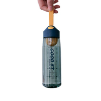 Bouteille d'eau portable en plastique sans BPA de 550 ml avec infuseur à fruits et poignée en corde, marque privée, vente chaude