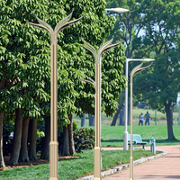 LaiHong Réverbère LED intelligent Réverbère LED pour autoroute Étanche IP67 en alliage d'aluminium Panneaux de feux de circulation et drapeaux de caméra